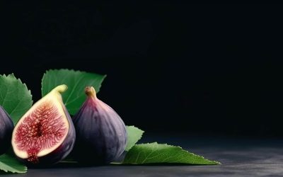 Füge hatása — és a fügefa ültetése, termesztése (útmutató)
