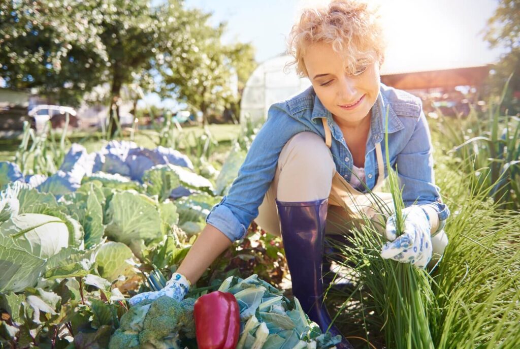 Legjobb angol nyelvű kertészeti blogok